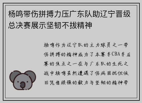 杨鸣带伤拼搏力压广东队助辽宁晋级总决赛展示坚韧不拔精神
