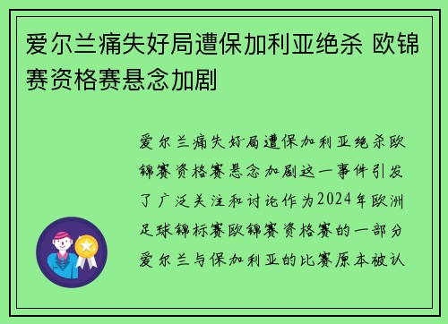爱尔兰痛失好局遭保加利亚绝杀 欧锦赛资格赛悬念加剧